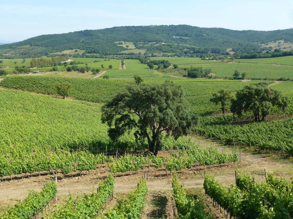 I vini di Maremma a PROWEIN 2022