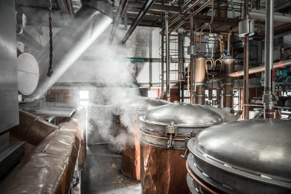 DOMENIS1898: l’arte della distillazione