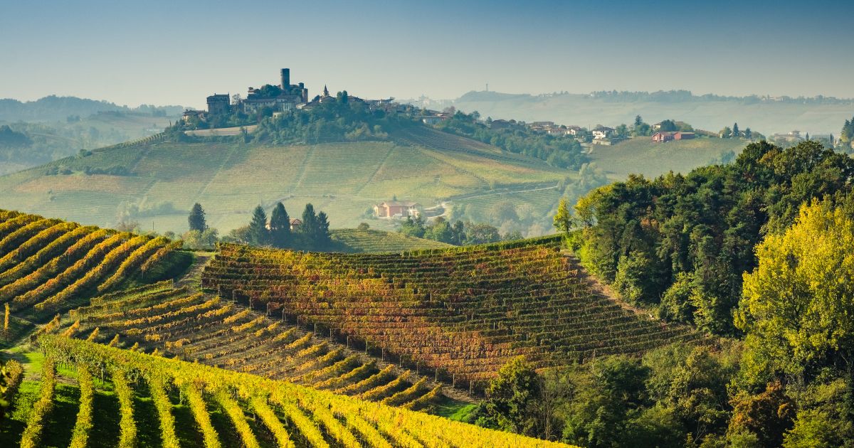 BinTraWine: la blockchain per i vini certificati della filiera lunga
