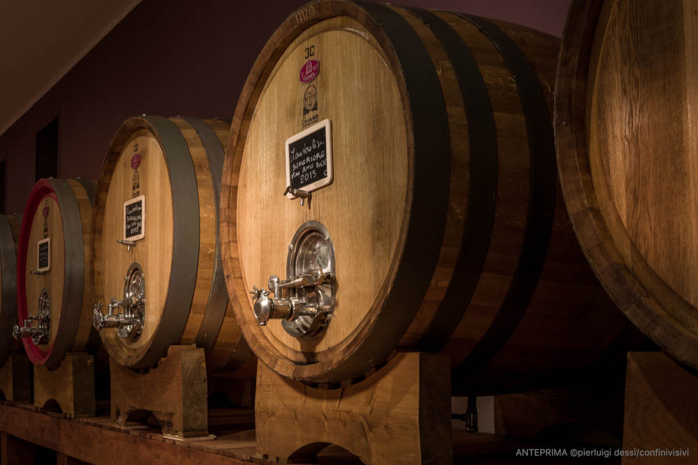 Alla ricerca del vino dei vini