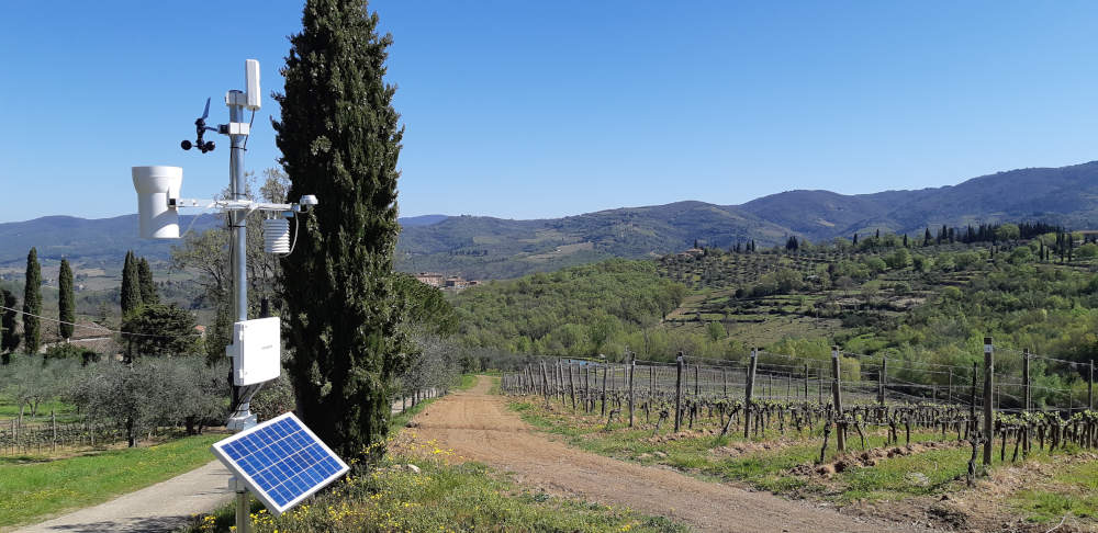 VineSense IoT ®: la viticoltura 4.0 per aziende, consorzi ed associazioni