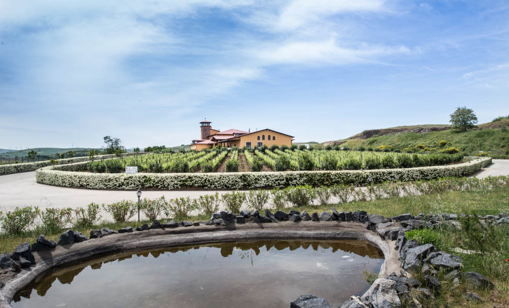 Vini nati in terre vulcaniche