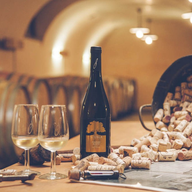 Processi naturali per vini di qualità