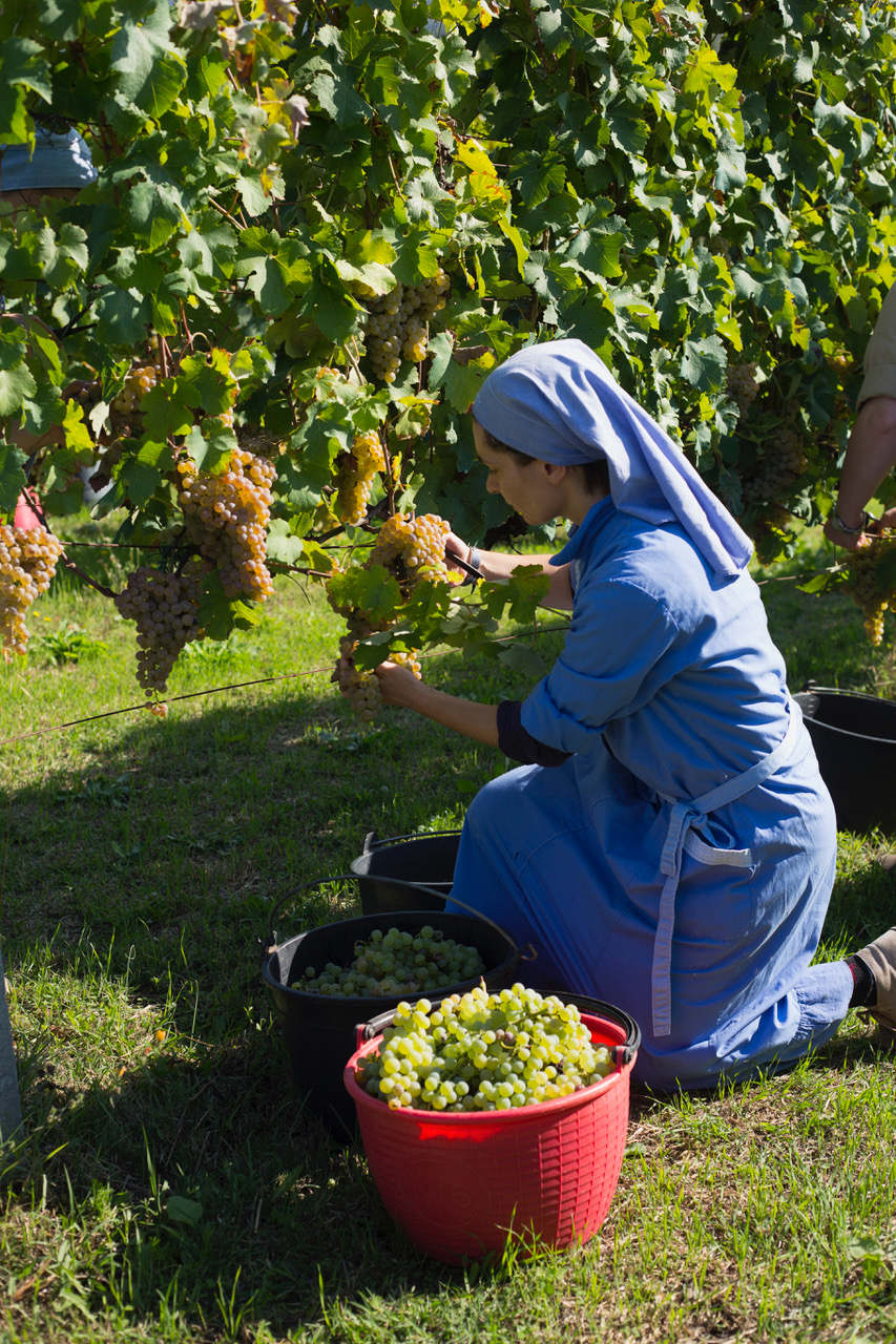 Arriva la II edizione di Vini d'Abbazia