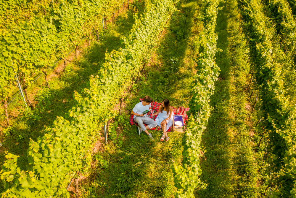 Gemme di gusto, gli appuntamenti del weekend in arrivo