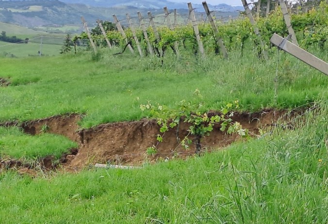 L’impatto dell’alluvione sui vigneti del territorio