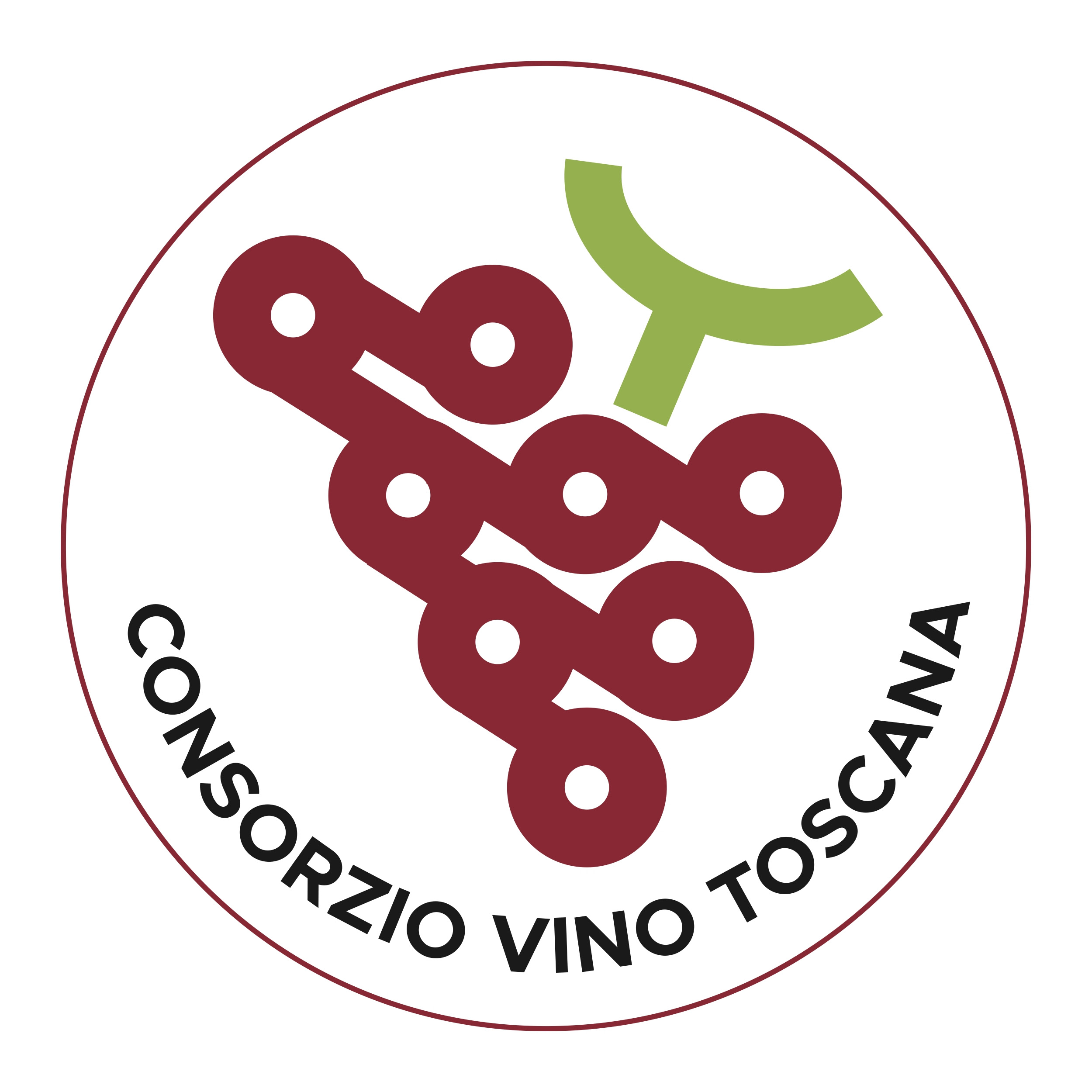 Nasce il Consorzio Vino Toscana, riconosciuto dal MASAF