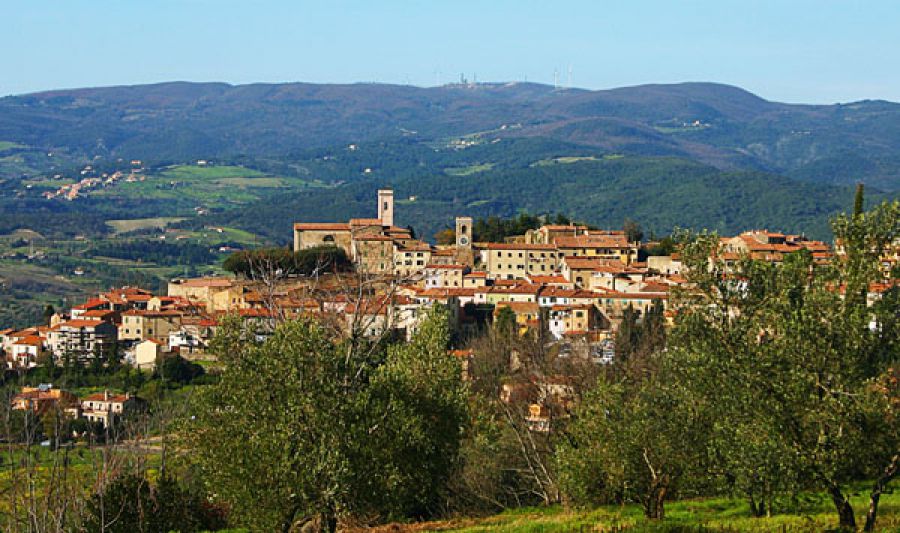 Montescudaio in festa per i 40 anni della sua Doc