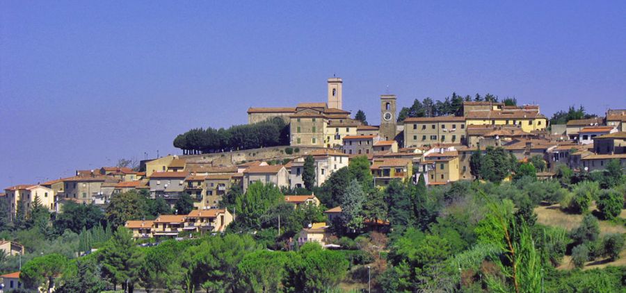 Montescudaio, tra storia e futuro nel nome del vino