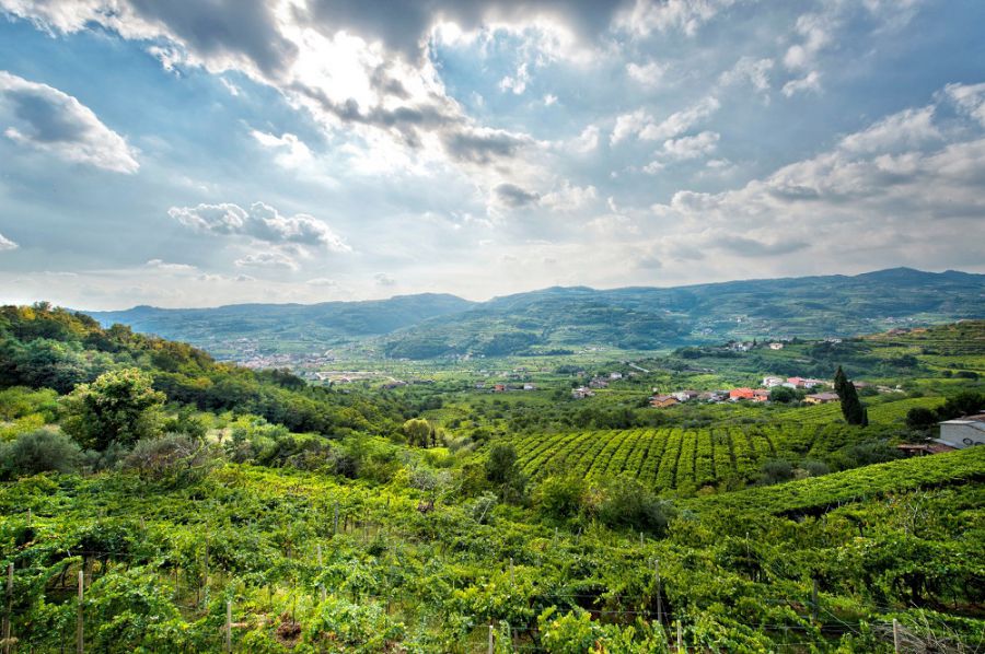 La Val d'Alpone si candida per l'Unesco