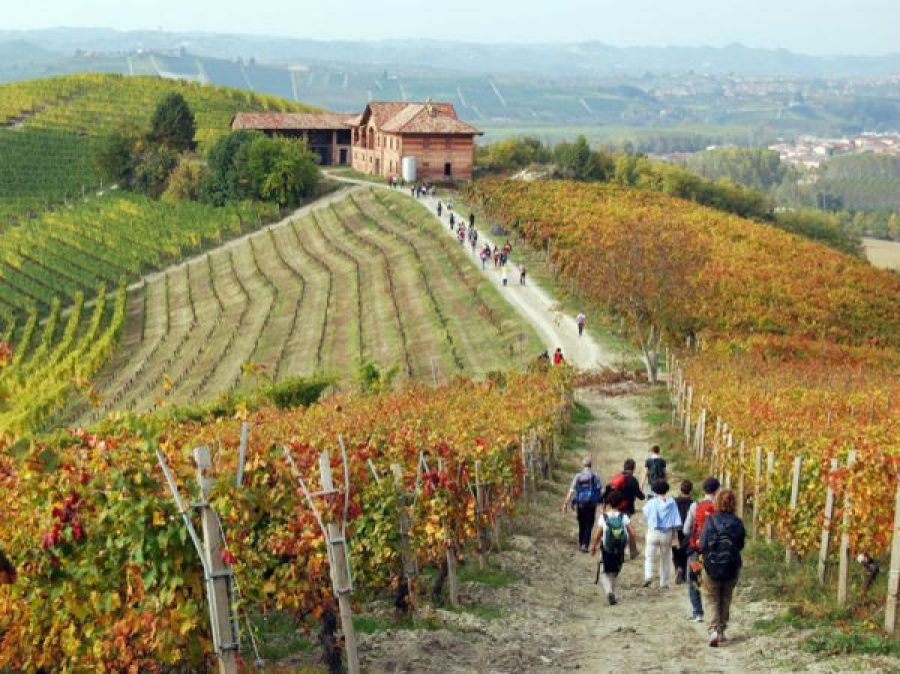 Italia enoturistica, il 2017 anno del sorpasso