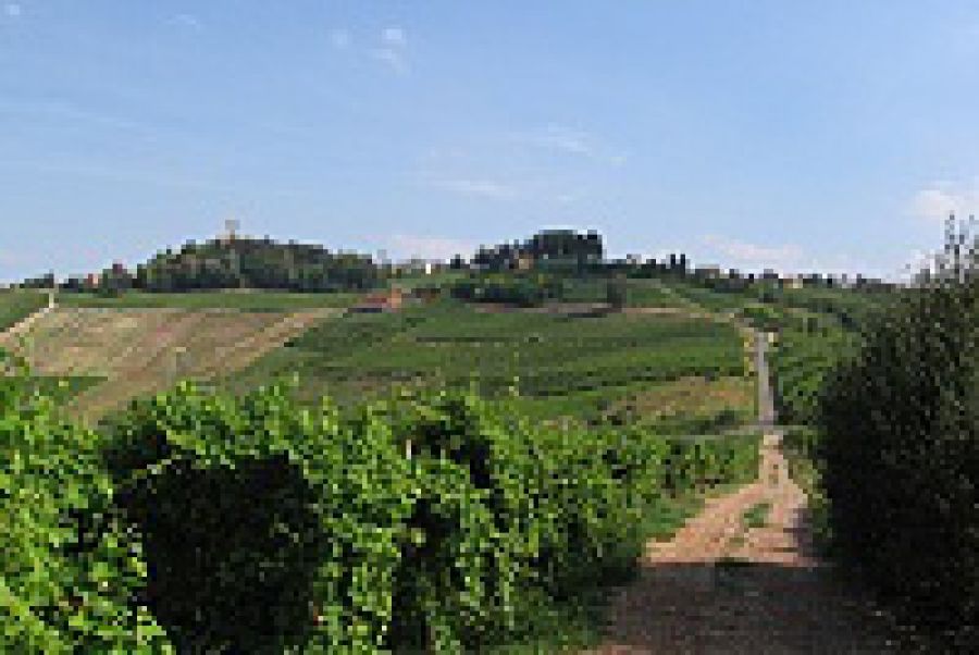 Enoregioni italiane: Oltrepo' Pavese