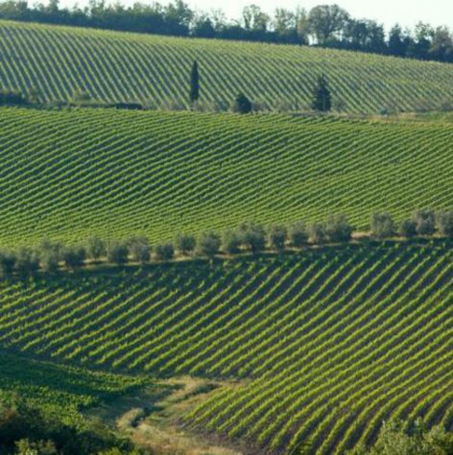 Gaiole in Chianti aderisce al distretto agroalimentare della Toscana del sud
