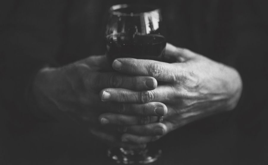 Guida Vitae 2018