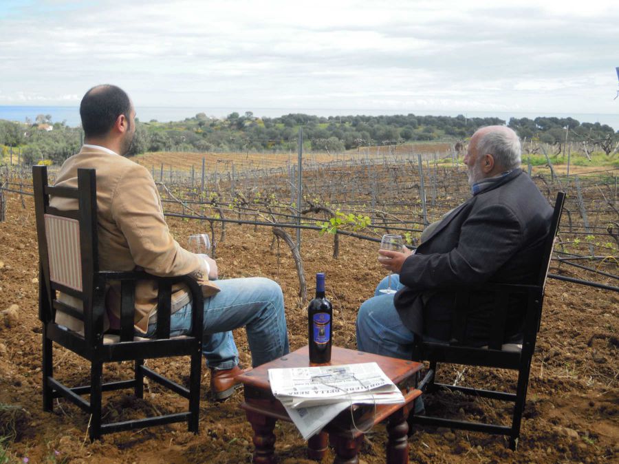 Un'ottima annata per i vini calabresi