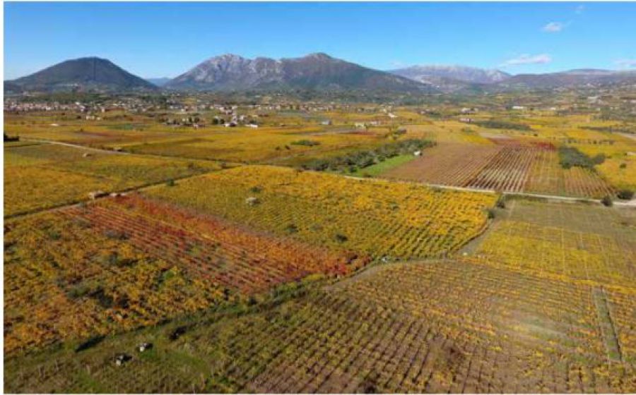 La bellezza del paesaggio rurale