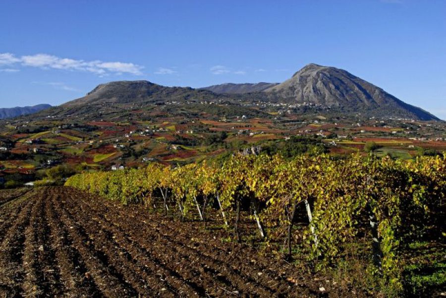 L'Europa sceglie la Città del Vino 2019