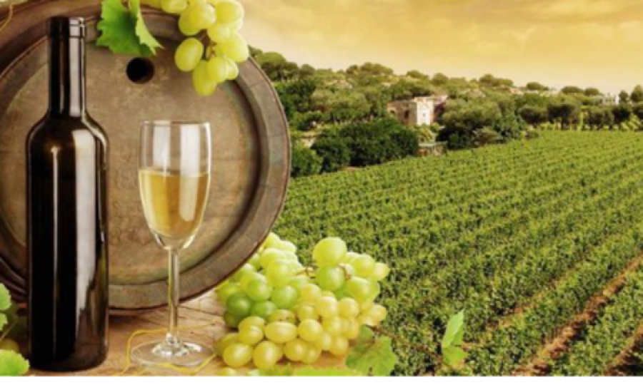 Wine tourism destination: opportunità e strategie di costruzione dell’offerta