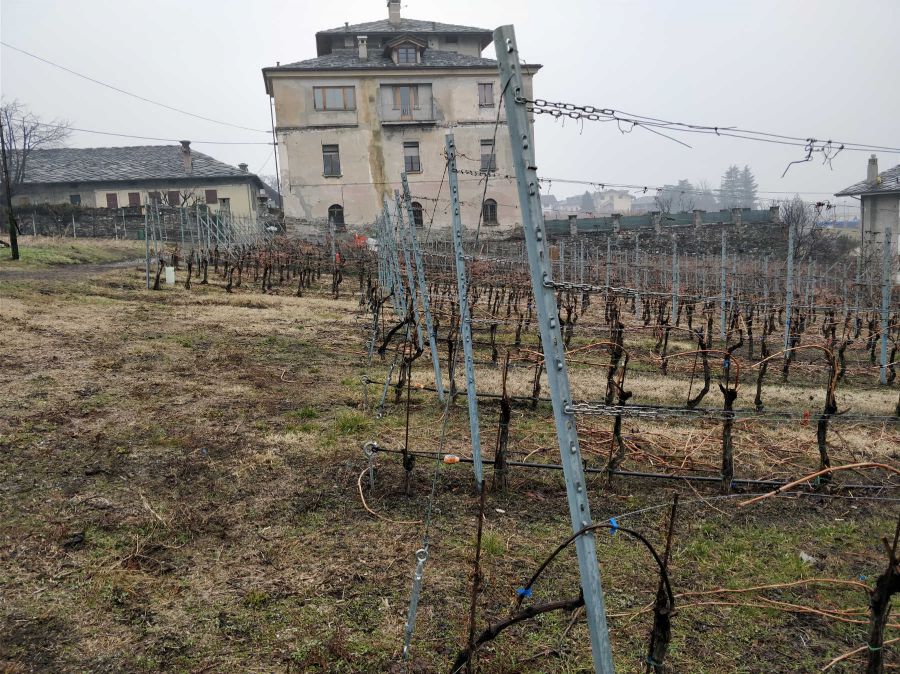 Una piccola cantina tra vigneti eroici