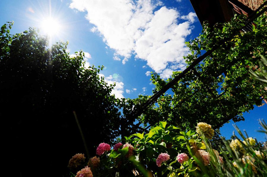 La qualità nel rispetto della natura e delle antiche tradizioni