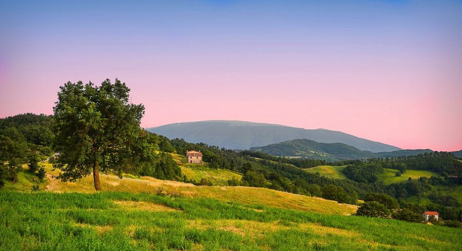 Paesaggio: vino e fantasia con i Giovani Talenti