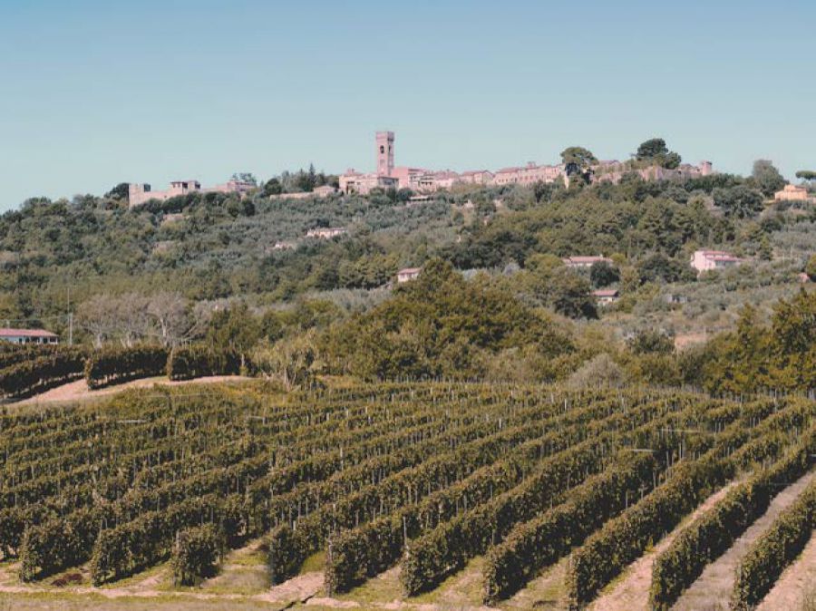 Auguri al Montecarlo
