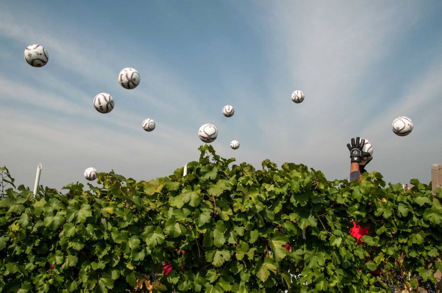 Barolo Boys in…Fuorigioco