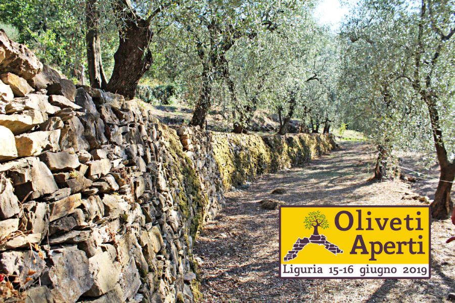 “Oliveti Aperti”