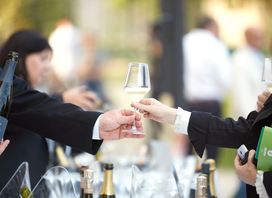 Matelica Wine Festival