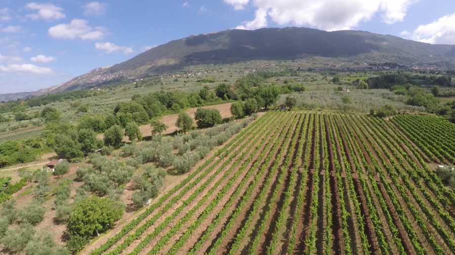 Il piglio di una terra viva e generosa
