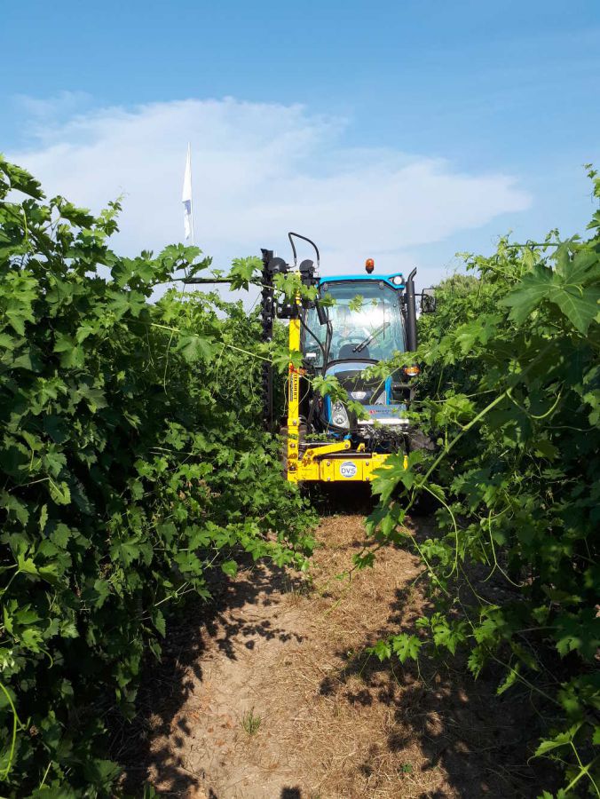 Agricoltura di precisione per uno sviluppo sostenibile