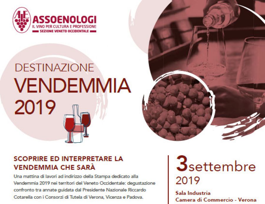 Destinazione Vendemmia 2019