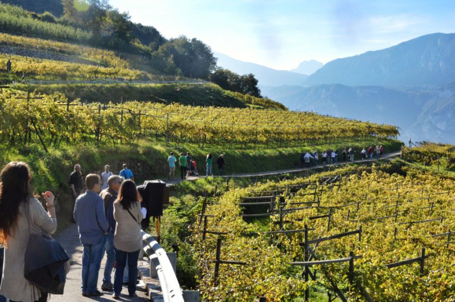 Con DiVin Ottobre tutto il bello dell'autunno