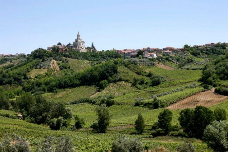 Il Comune di Tollo apre la sua Wine Business School