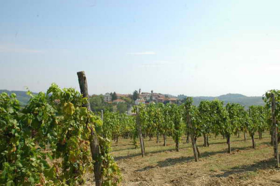 Auguri alla Barbera del Monferrato Superiore