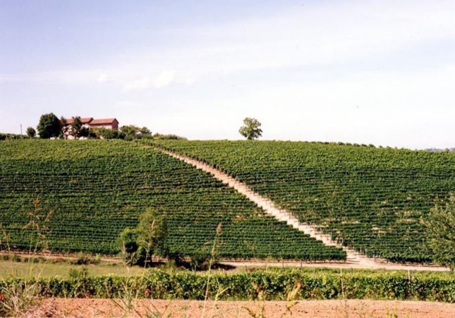 Auguri alla Barbera del Monferrato