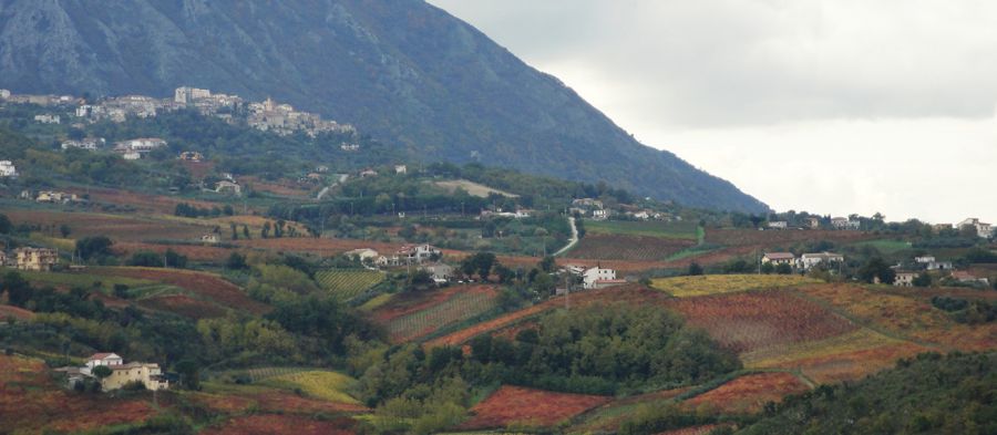 Antichi metodi nel rispetto dell'ambiente