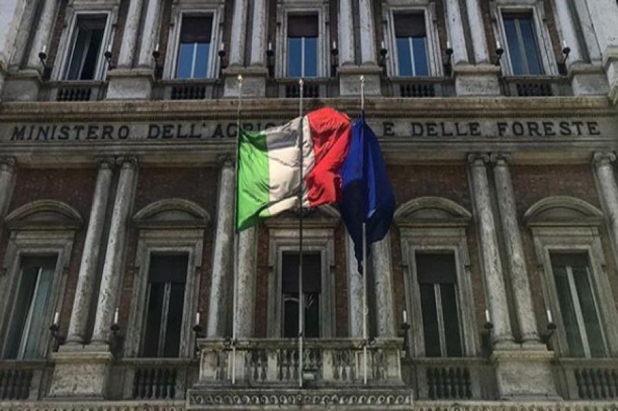Necessario piano straordinario agricoltura con risorse extra Pac
