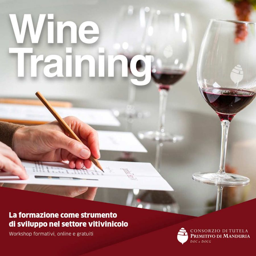 Ecco i workshop formativi a distanza del Consorzio di Tutela del Primitivo di Manduria