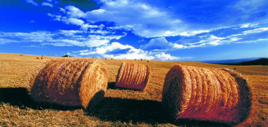 Agricoltura, sostegno e integrazione
