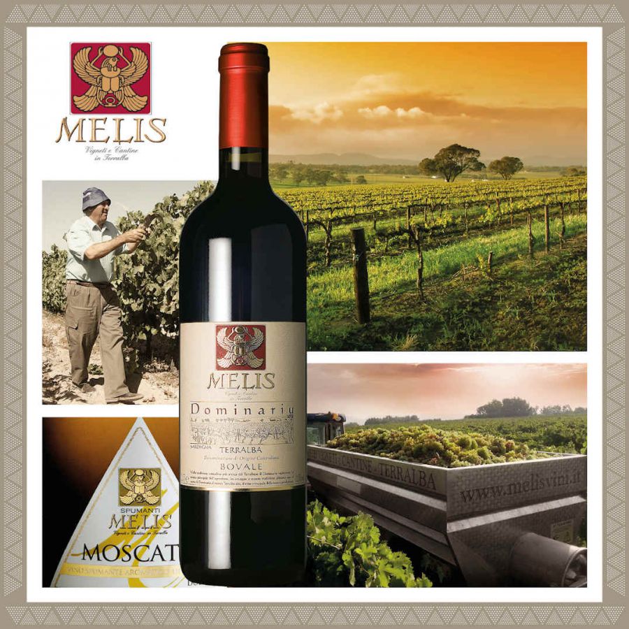 Vini forti e caparbi dalla terra del Bovale