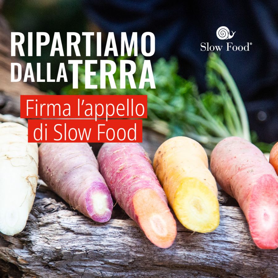 Ripartiamo dalla terra!