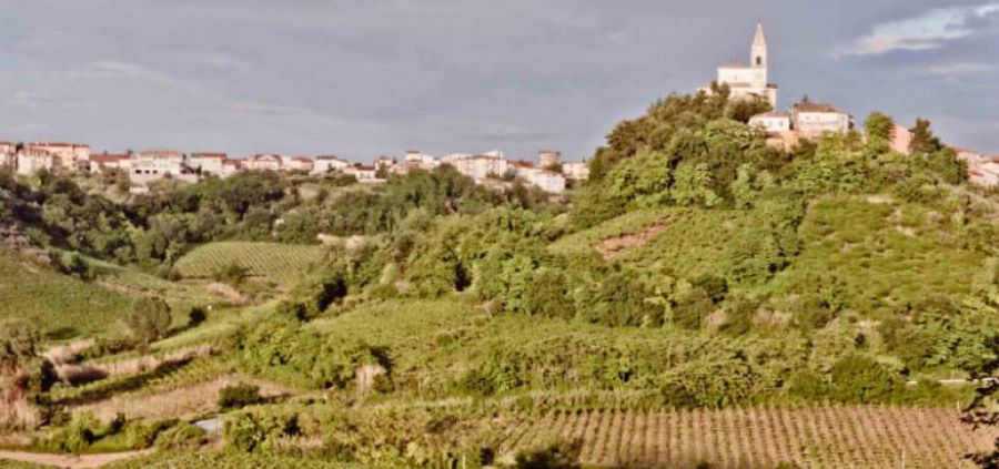 In Viaggio per le Città del Vino: Tollo