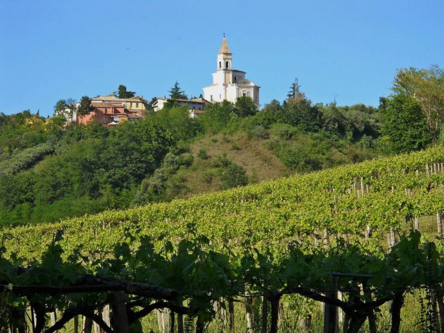 In Viaggio con le Città del Vino