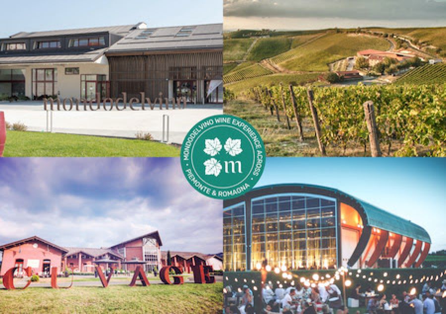 Wine Experience Across