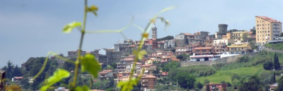 Auguri al Colli Albani