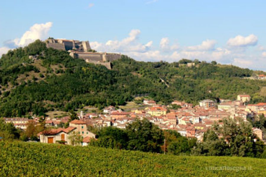 Assegnato il Premio Gavi la Buona Tavola 2020