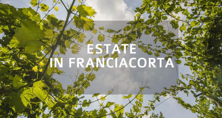 Estate in Franciacorta: le proposte di cantine, ristoratori e le attività sul territorio