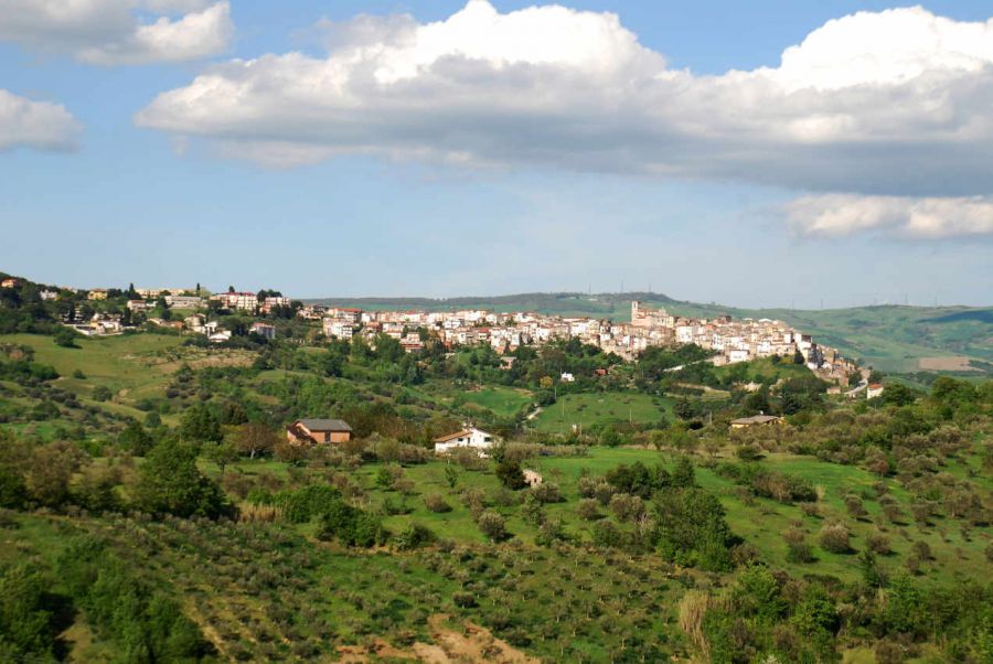Benvenuta Associazione Culturale Comitato San Mercurio!