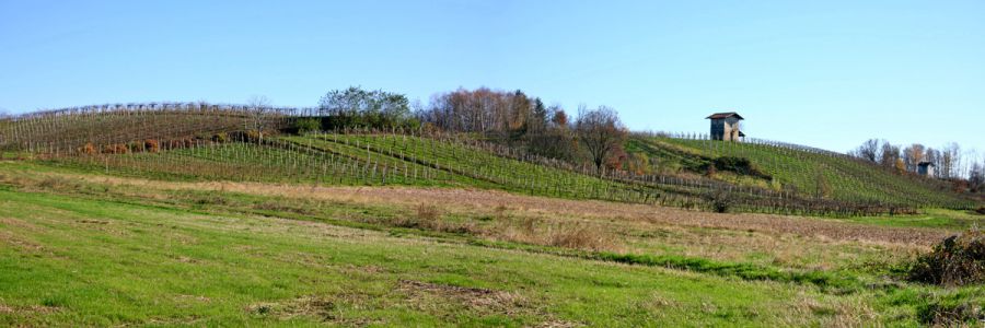 La difesa integrata dei vigneti delle Colline Novaresi